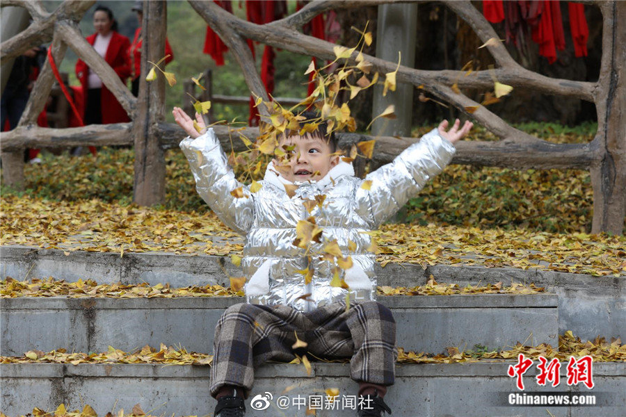 中国男人和中国女人日逼黄片