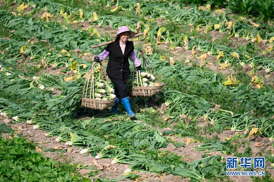 女仆扒开秘 让男人桶爽