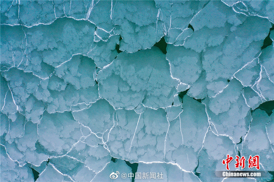 做爱网站