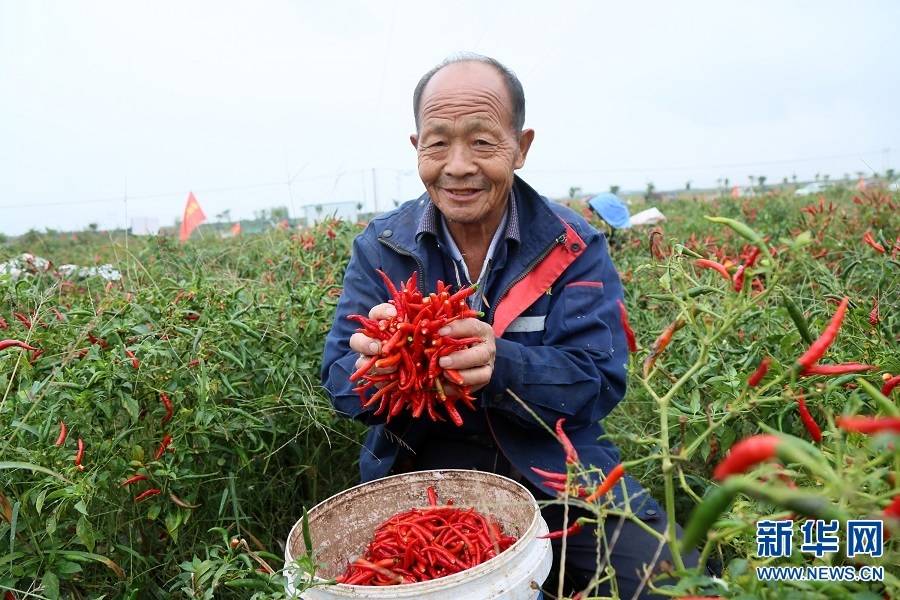 鞠婧祎扒开内 给男人桶换脸