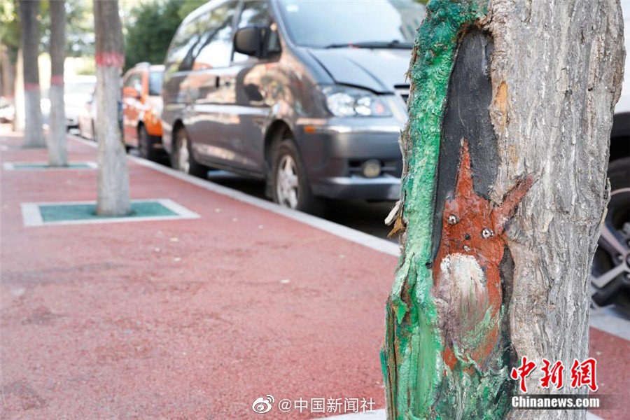 麻豆短视频传媒APP免费下载