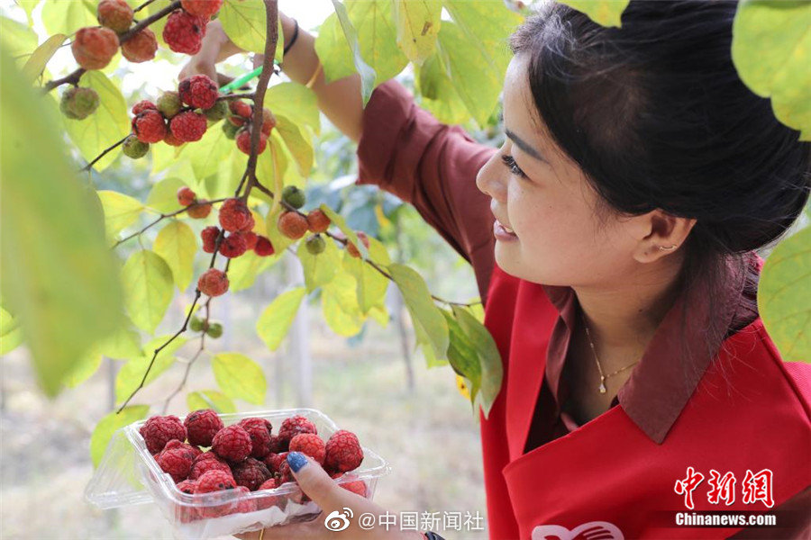 家庭乱伦中国
