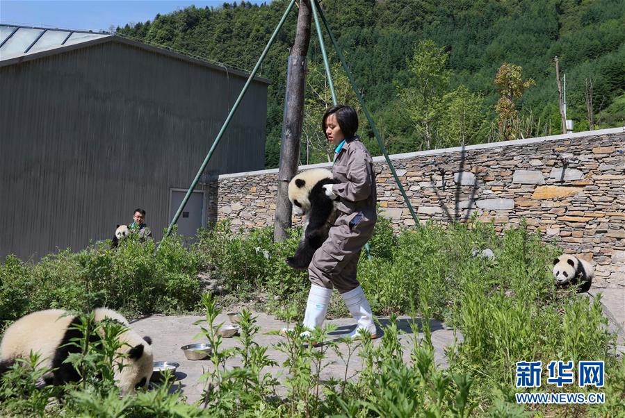 鄰居人妻