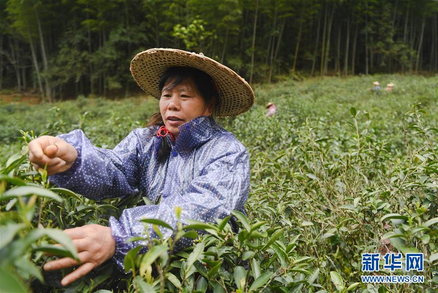 科尔：贝尔会得到进场时机的