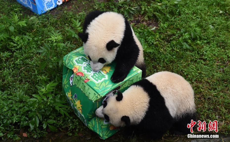 A级黄色网站在线看