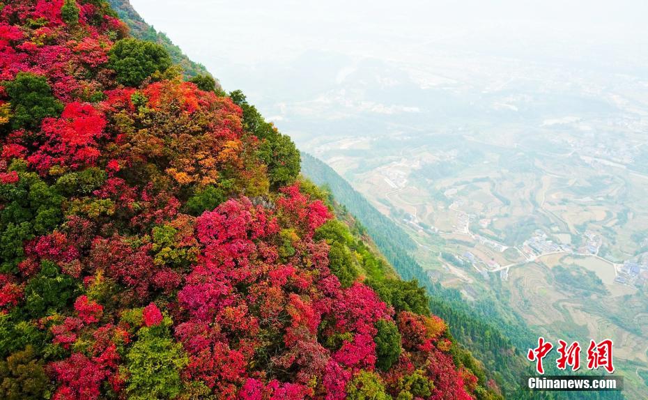 农村一级片黄色