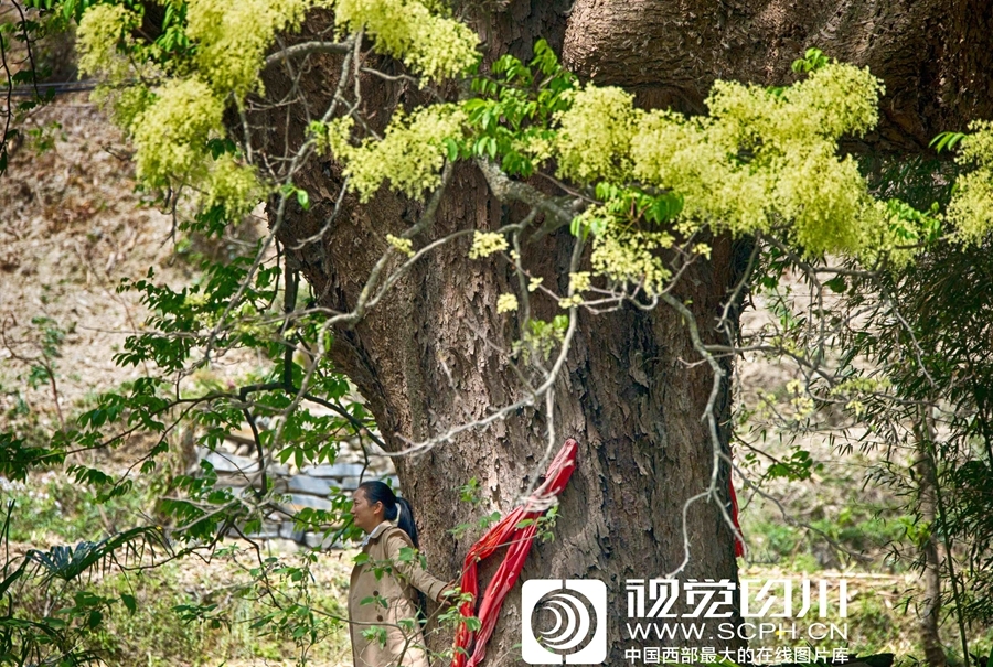 国模私拍大尺度裸体AV