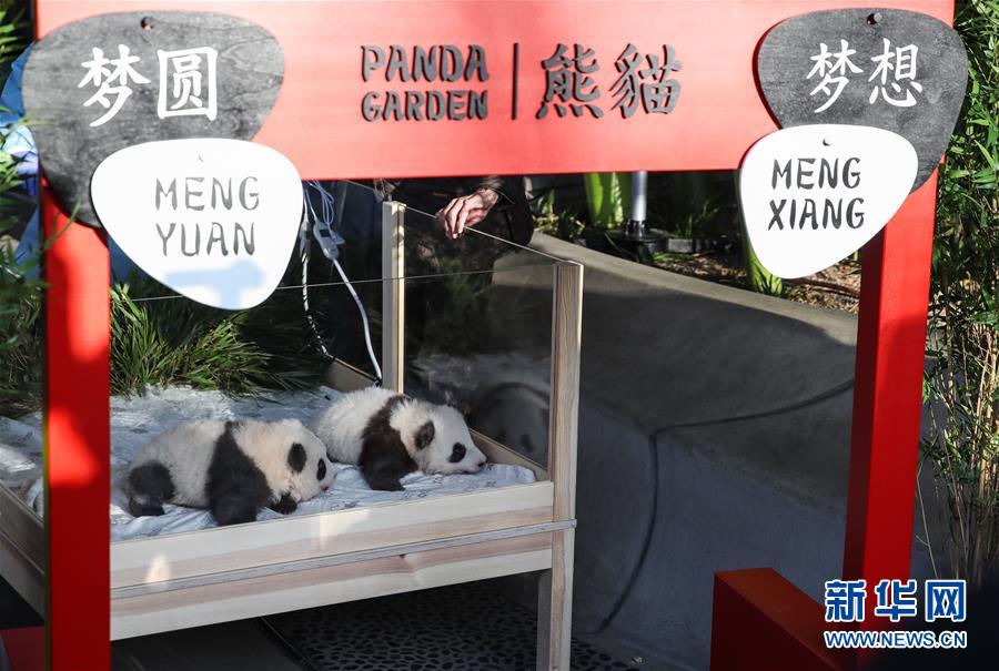 亚洲精品久久久www游戏特点