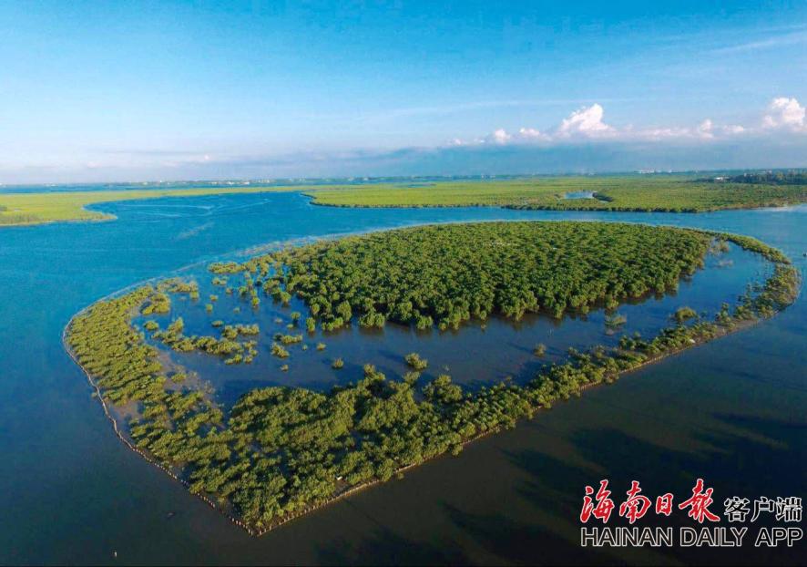 张柏芝殖器12图