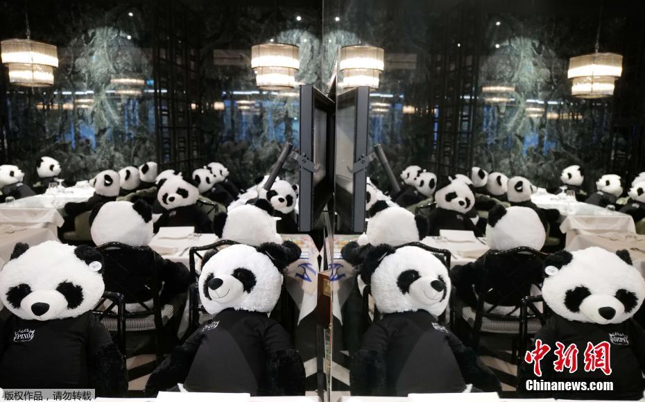 美国黄色视频s has always had