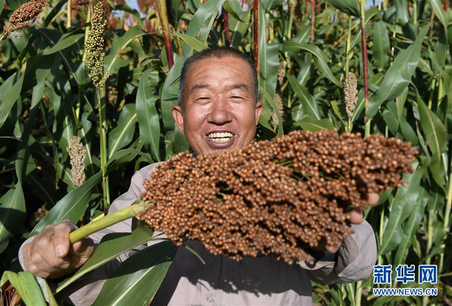 夫妻黄色片特级