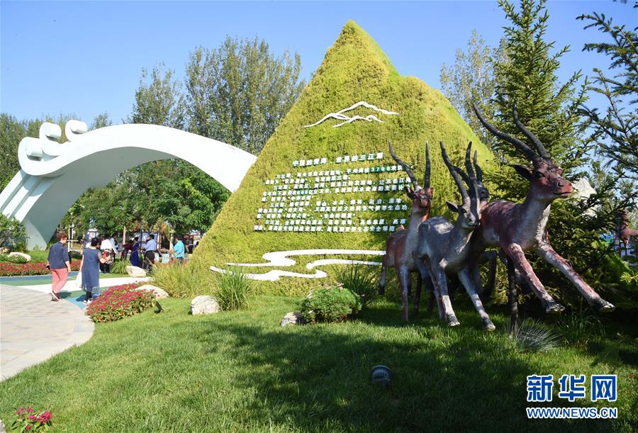 屌丝