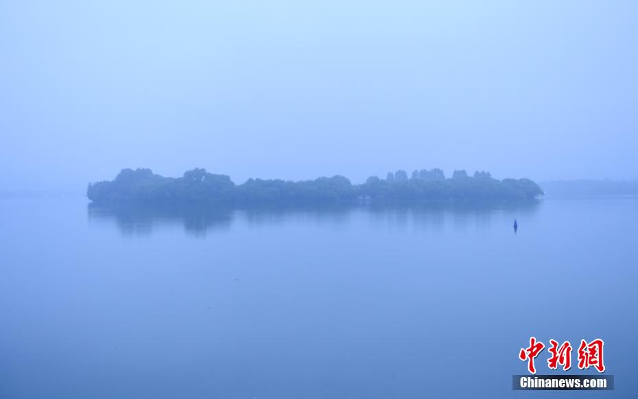 穿越火线关小雨拔萝卜