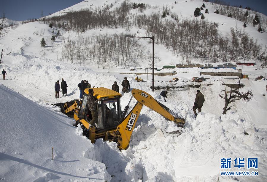 人口雪崩_出生人口雪崩 这件事有多严重 芥末堆(2)