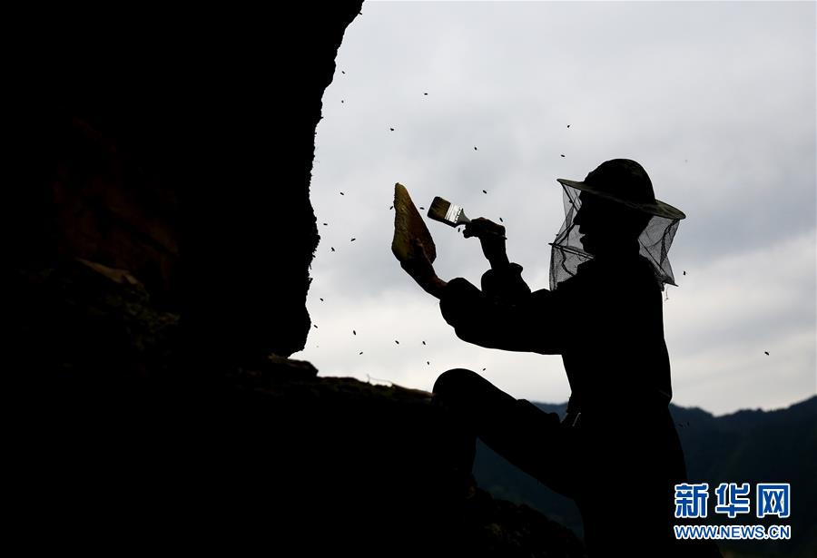 欧美酿酒三级片在线观看