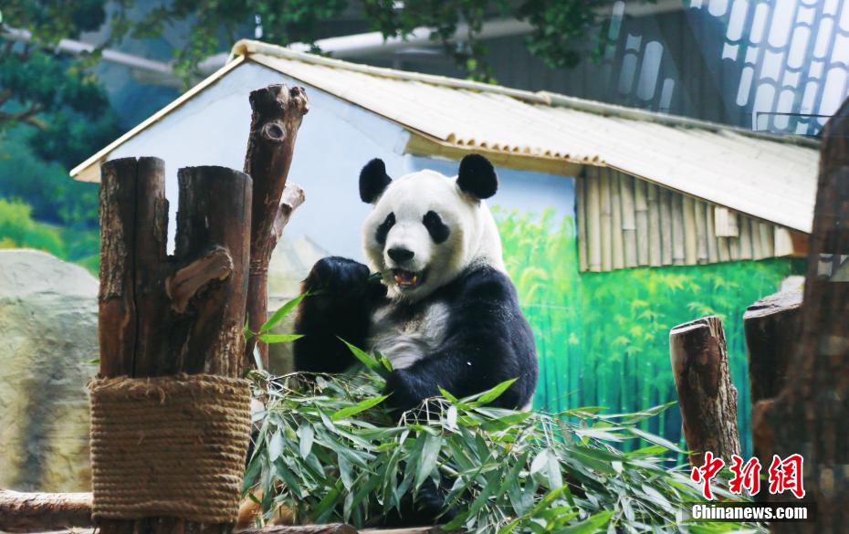 香港学校偷拍女生裙底视频