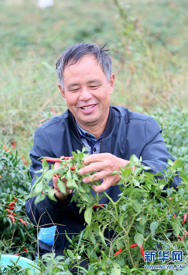 三喜本望