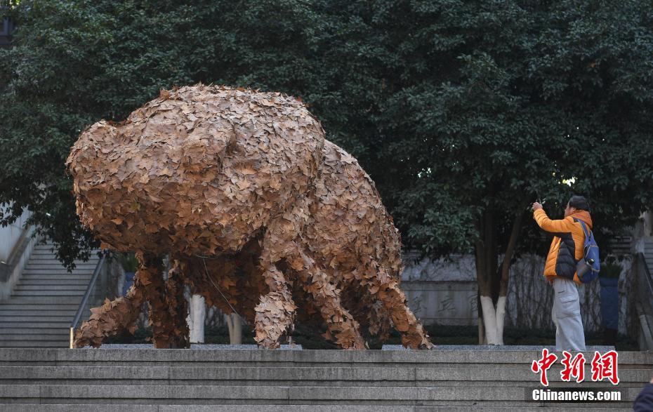 中国操逼小电影
