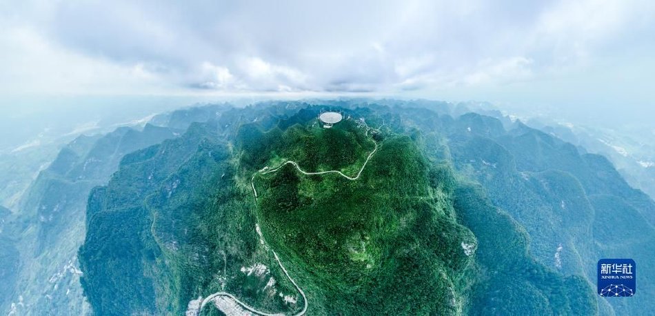 国内一级片