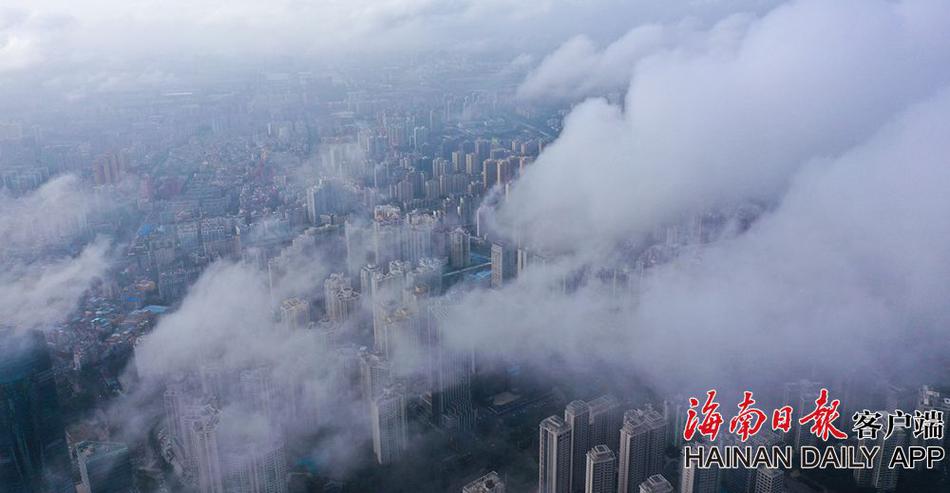 精品无码无人区视频