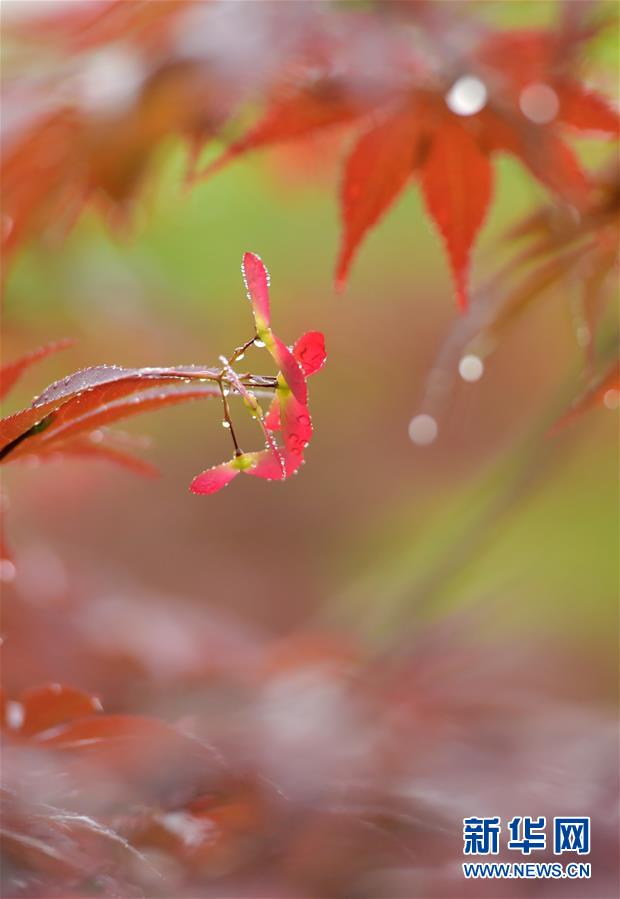 性粗暴挣扎Hd