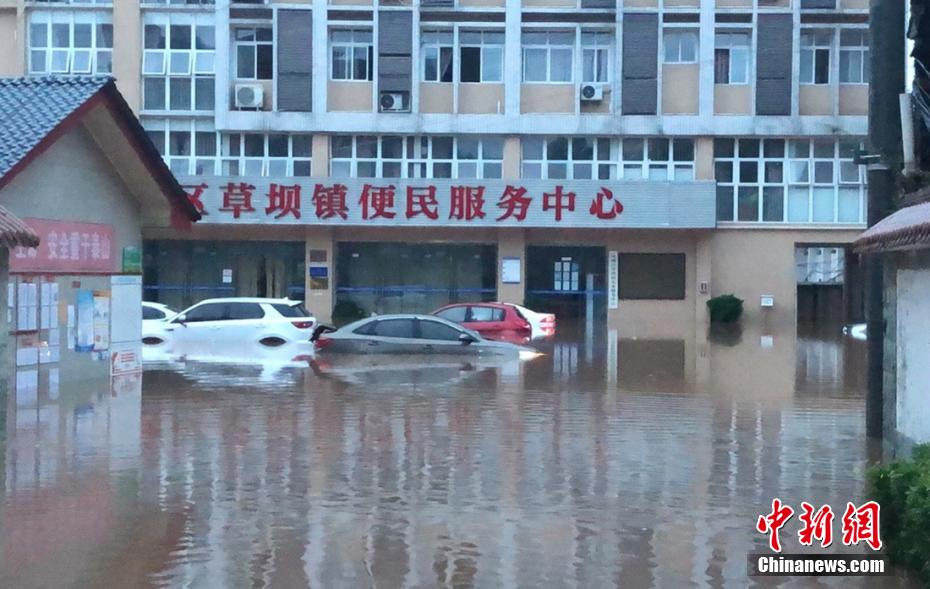 成人 视频 导航