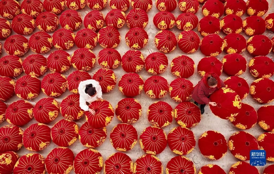 御伽樒
