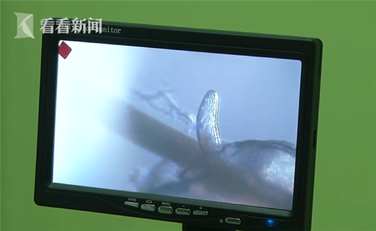 宿舍脱裤子Gay互吃鳮吧