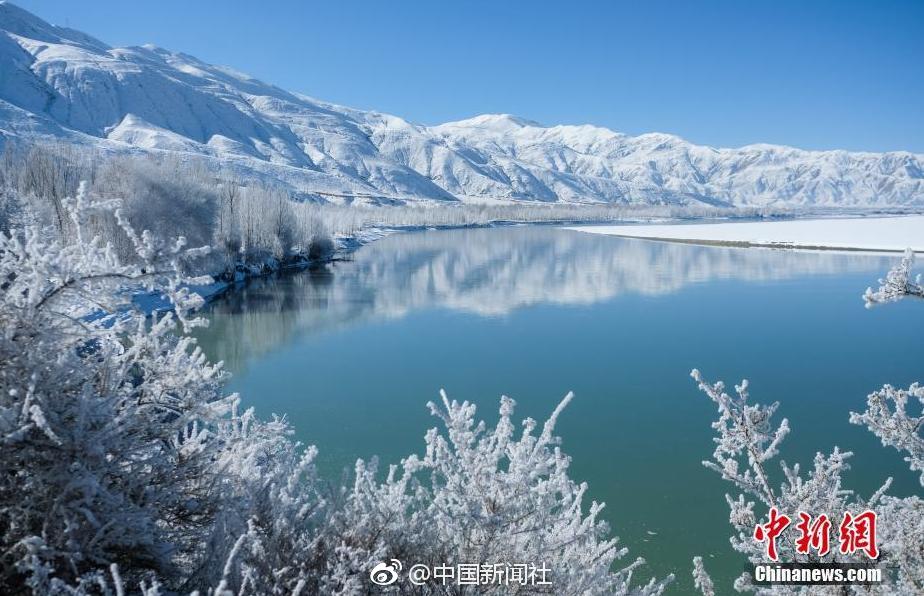 色黄网站免费下载
