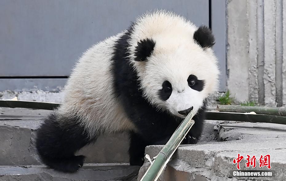 星空无限传媒