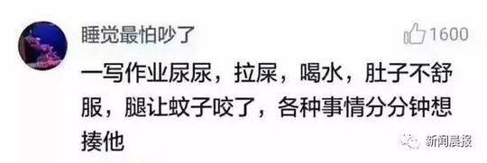 台灣八爪椅