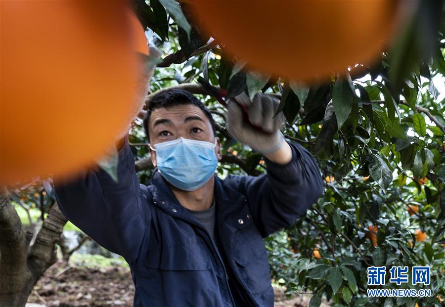越南性生活爽片