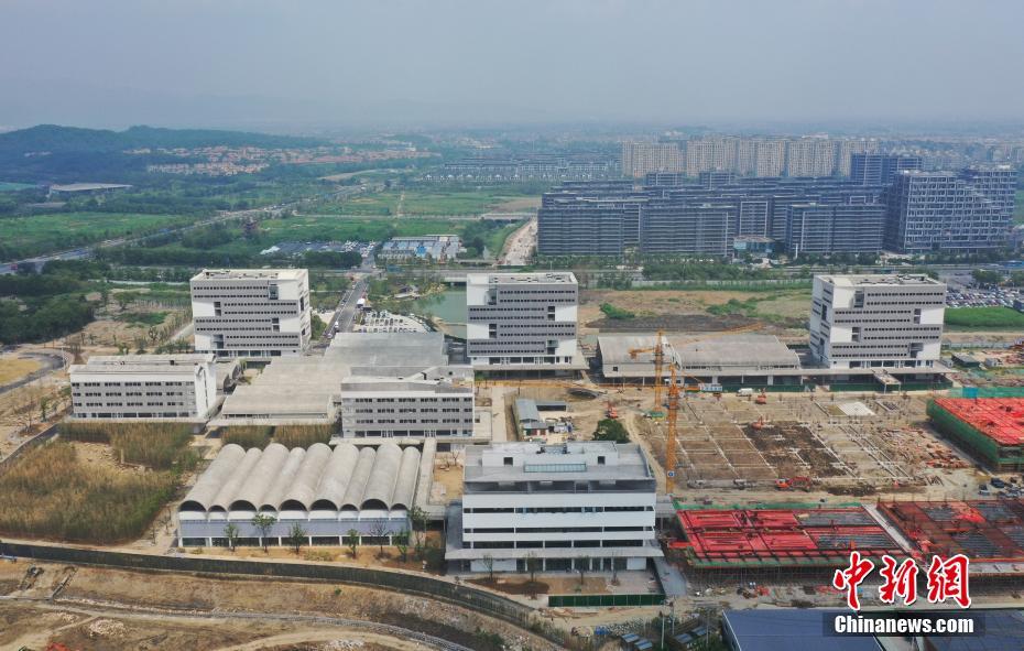 台湾群交乱伦