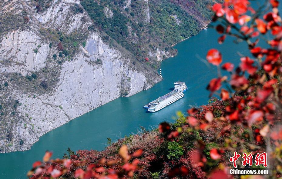 香西咲