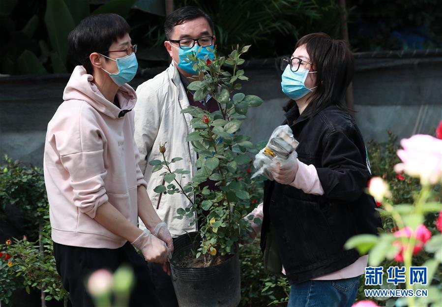 亚洲天堂在线观看视频