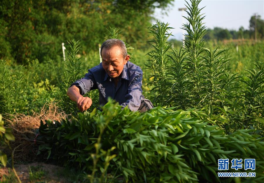 爱爱动态视频