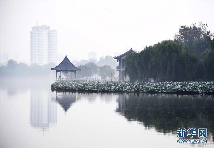 清水健