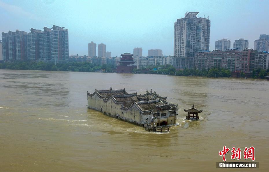 柑橘直播