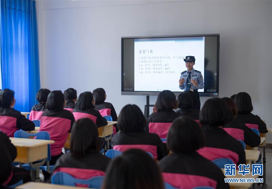 梦梦到粉丝家实战免费