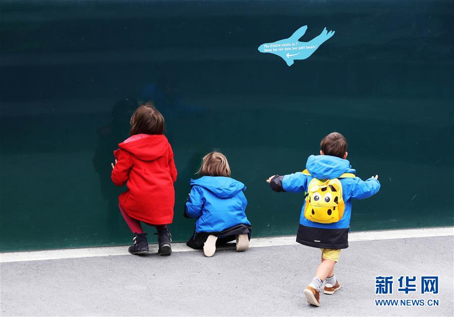 苹果直播