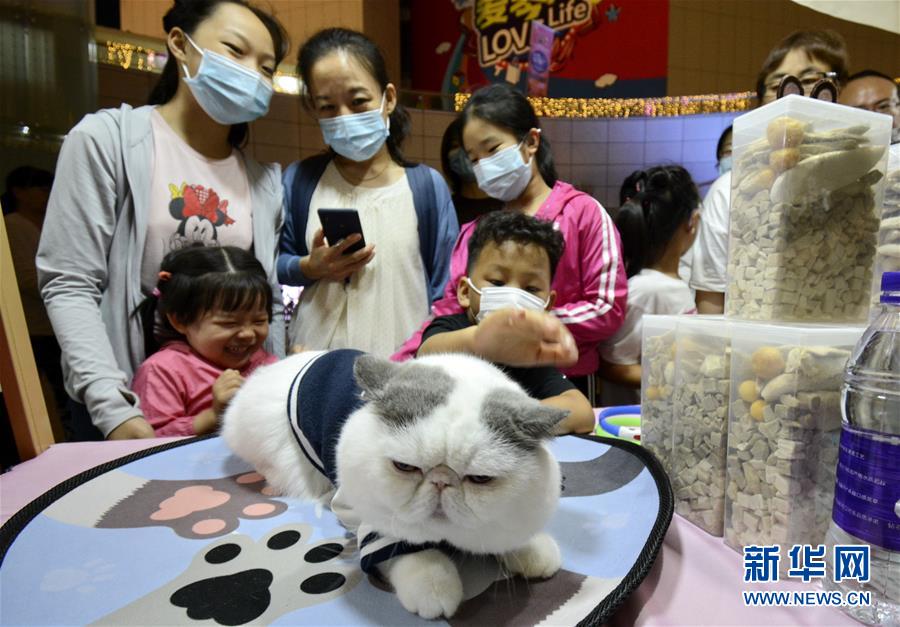 强奸模拟器