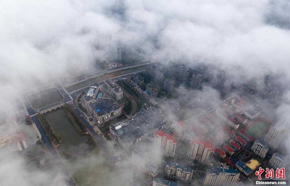 欧美vieox另类极品
