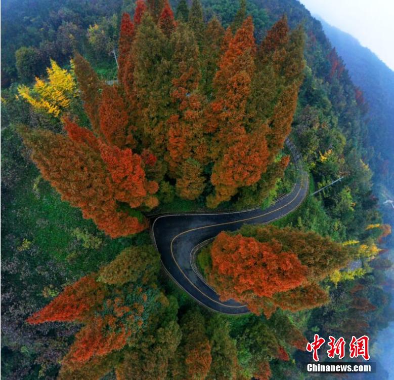 久久这里只有