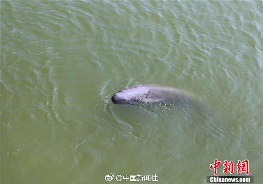 一级毛片久久久久久久女人18