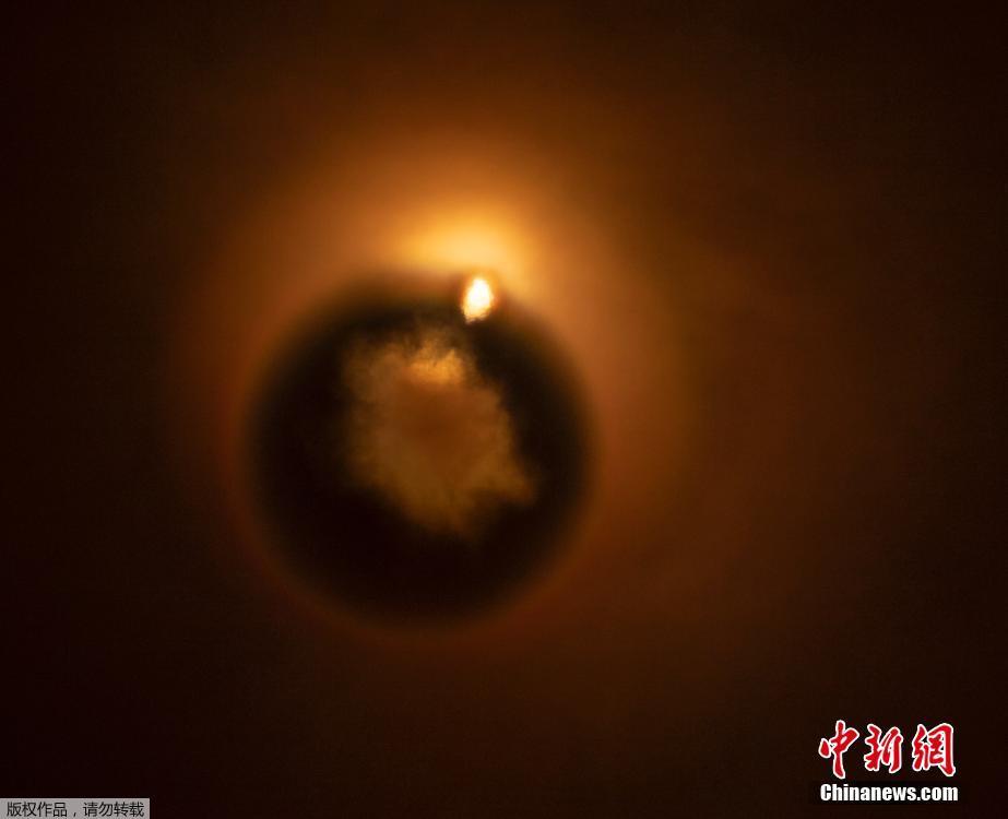 櫻萌子