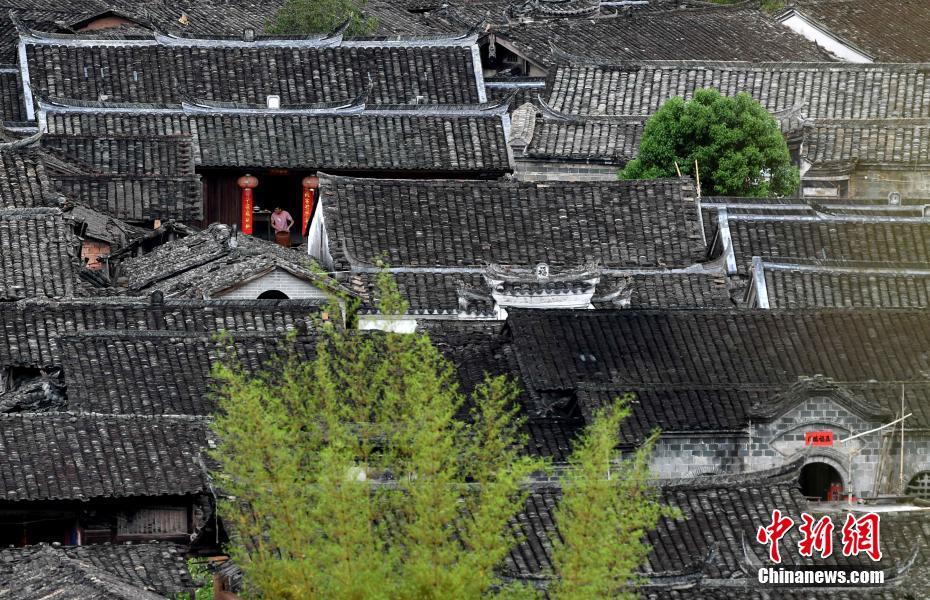 黄色 在线 直播