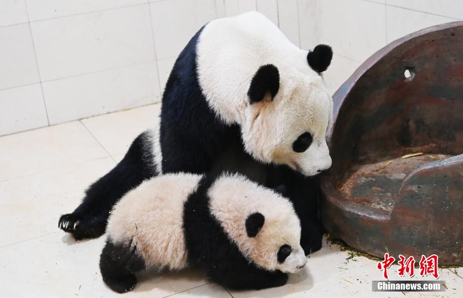 亚州性爱老熟女