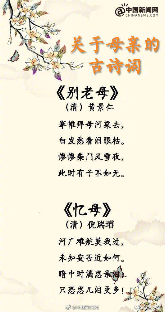 中文 免费 色情