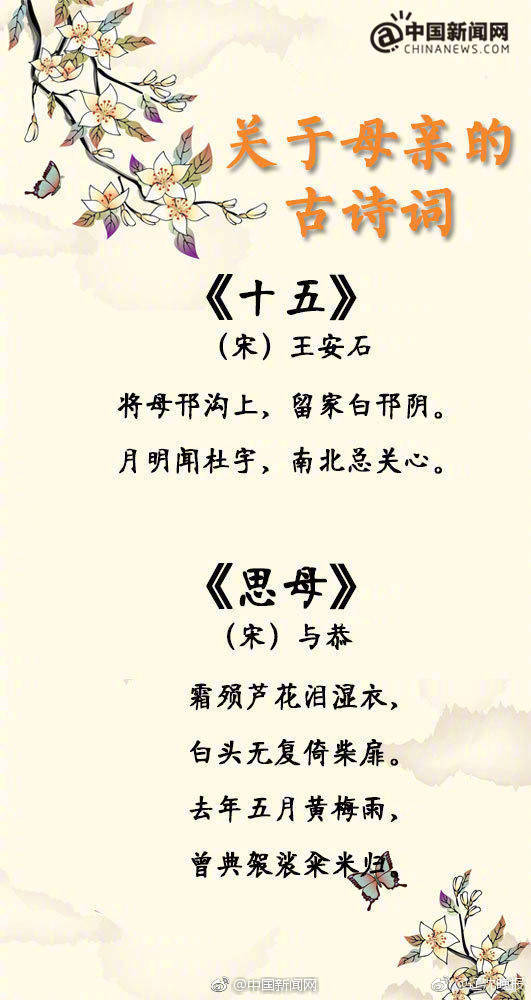 成语闻什么相思_相思红豆图片