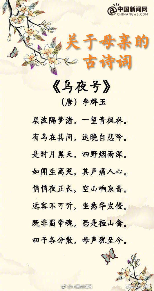 很黄很色视频